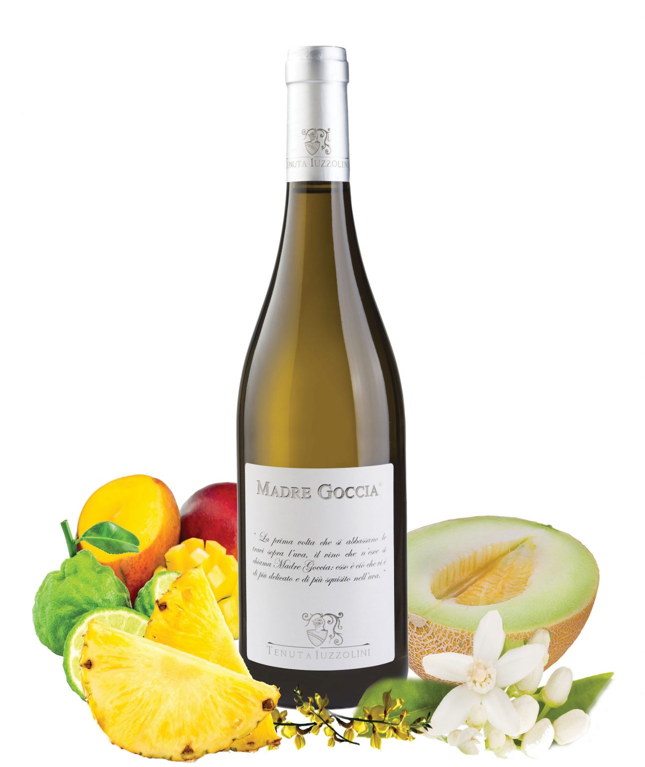 Cirò Madre Goccia IGT